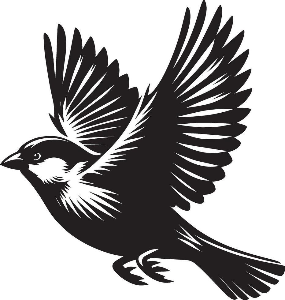 Spotless sparrow bird shadow illustration on plain backdrop vector