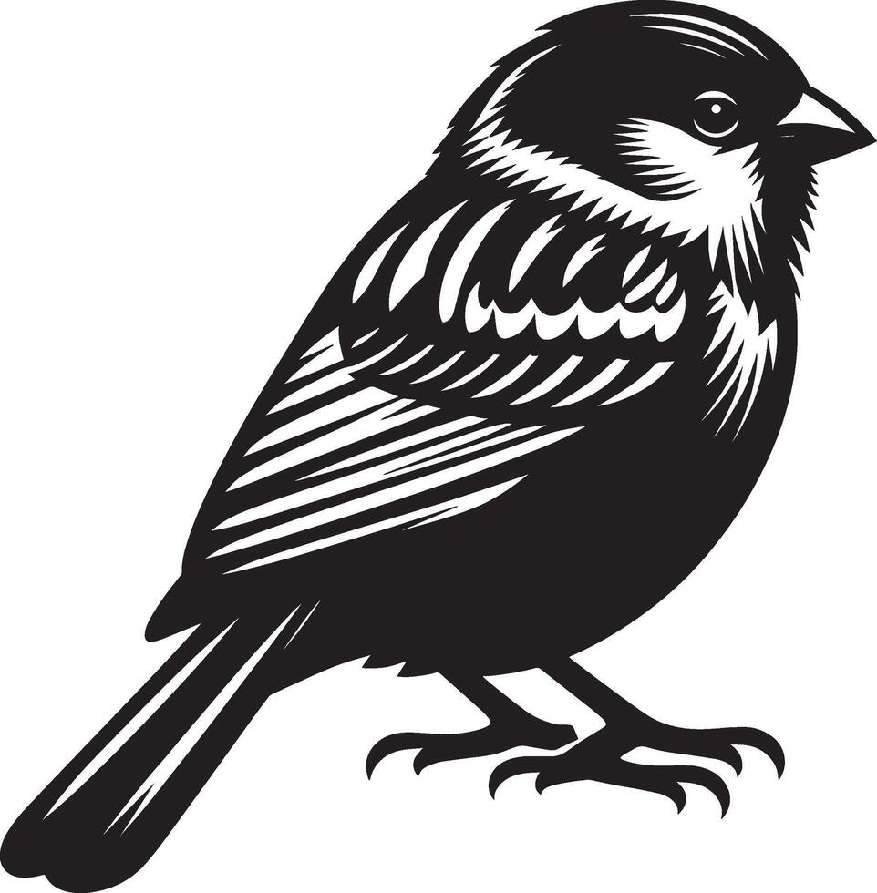 Vibrant sparrow bird shape on white background vector