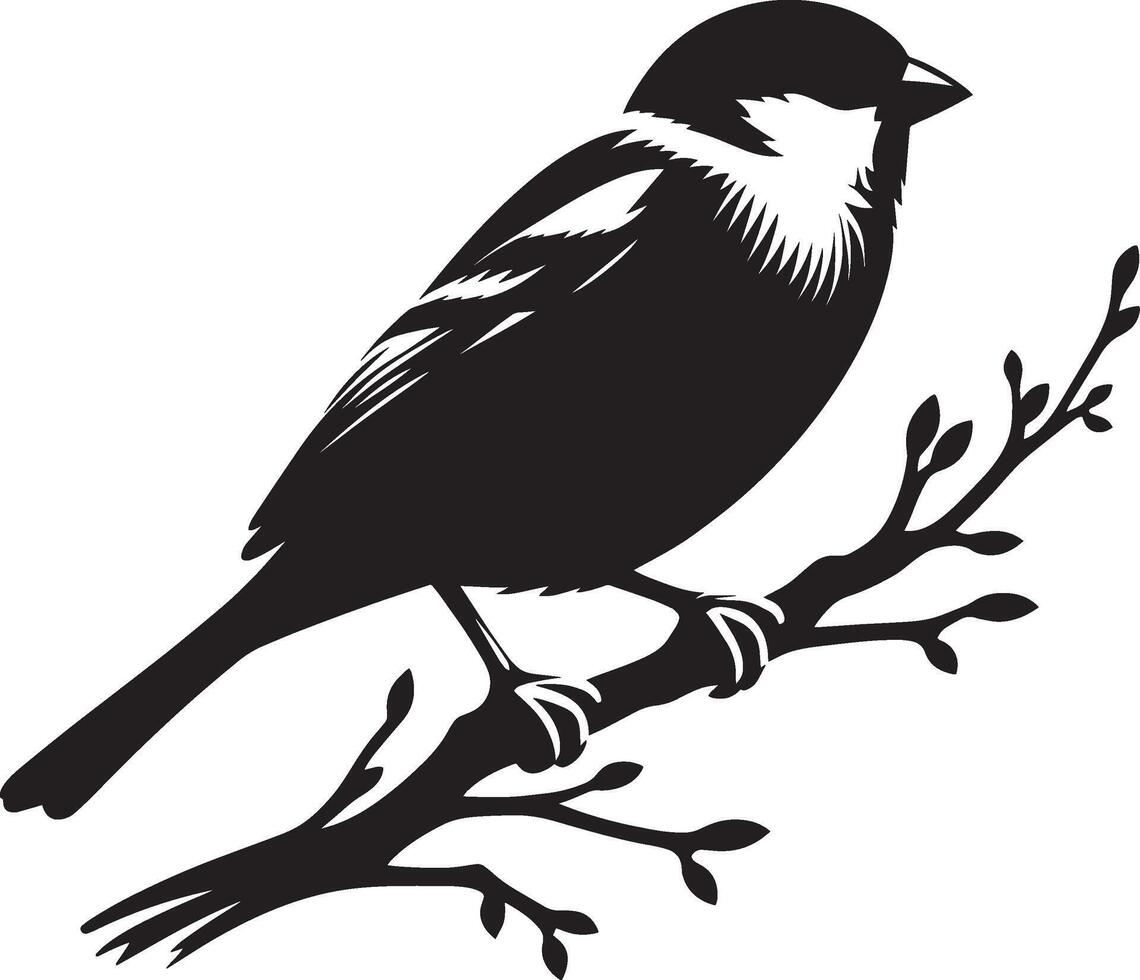 sparrow bird on branch silhouette illustration vector