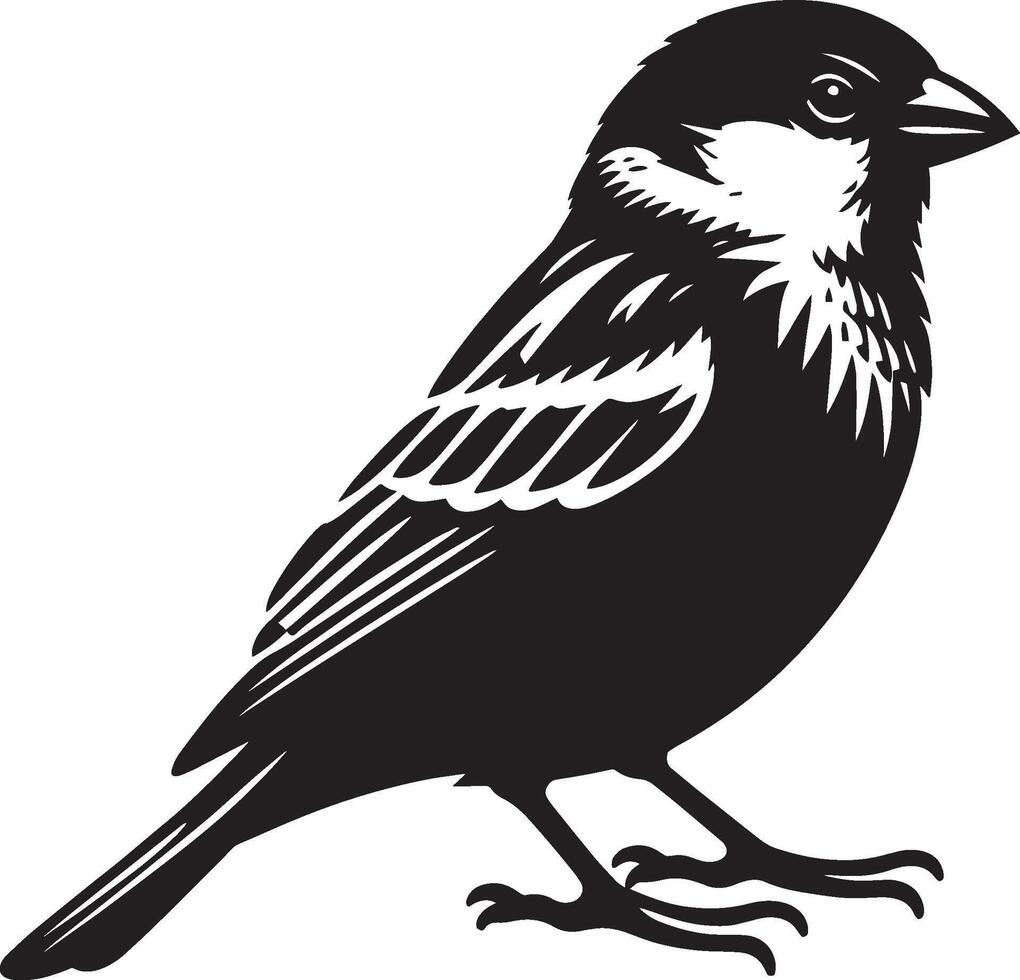 Classic sparrow bird silhouette illustration on plain backdrop vector