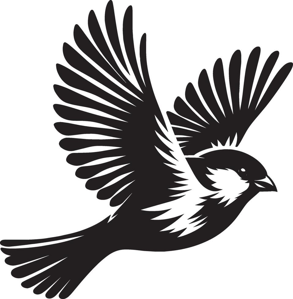 a black and white sparrow bird flying in the air vector