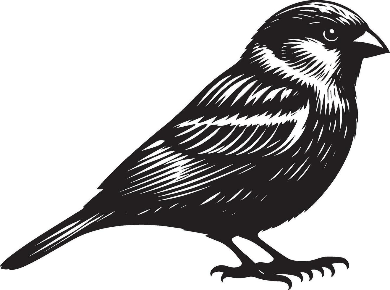 Striking sparrow bird profile illustration on plain background vector