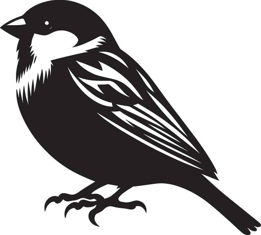 Delicate sparrow bird contour on white vector
