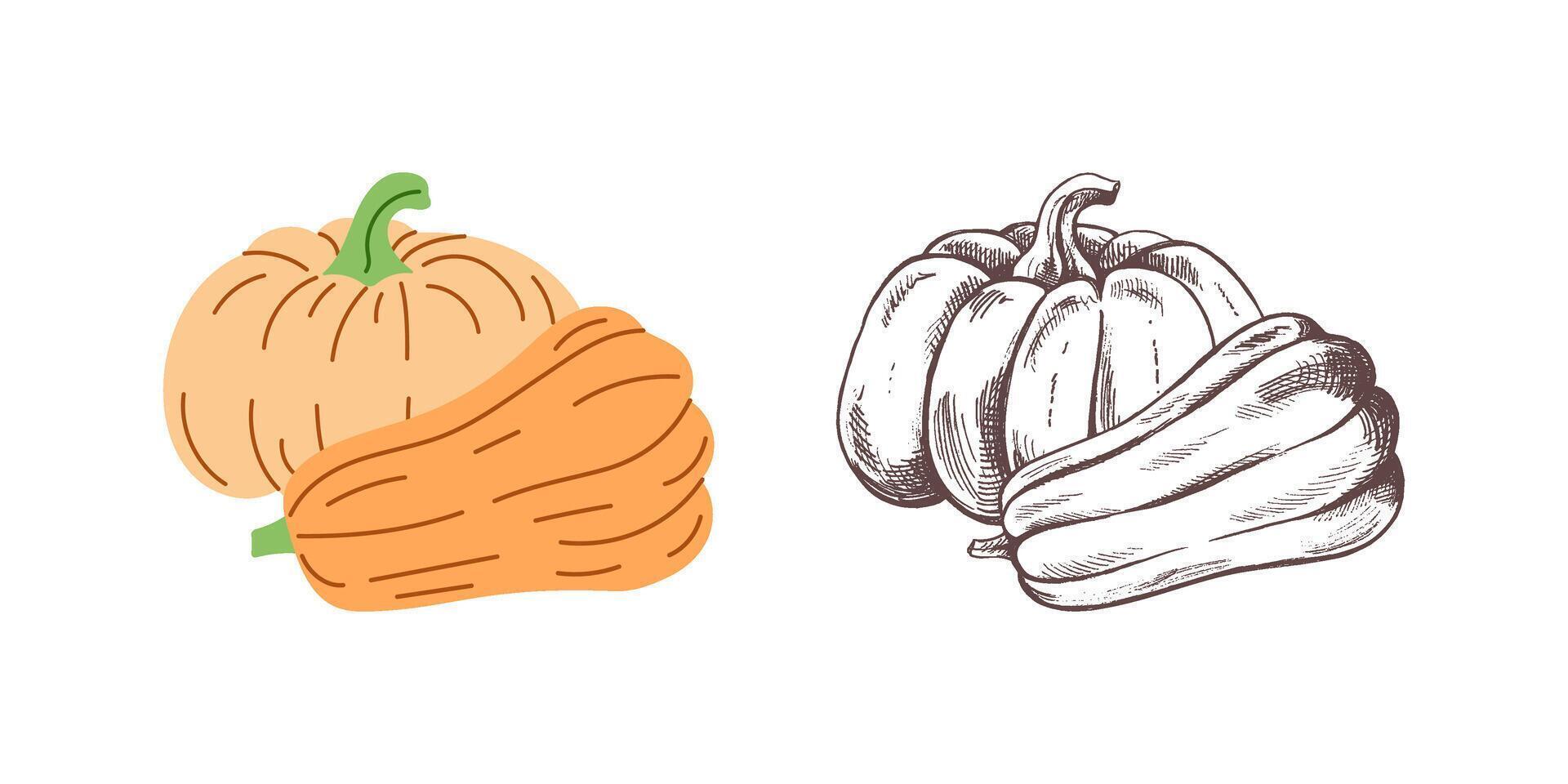 hand-drawn pumpkin sketch in flat halloween style, isolated on white. vector