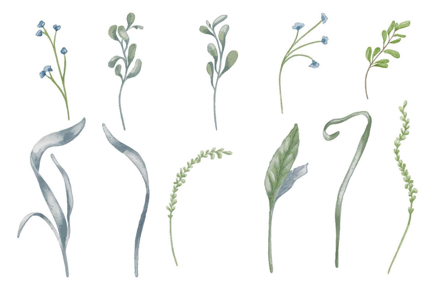 Botanical set delicate green and blue foliage and small flowers watercolor illustration isolated. Various abstract leaves and stems in neutral tone hand drawn. For nature themed projects and decor vector