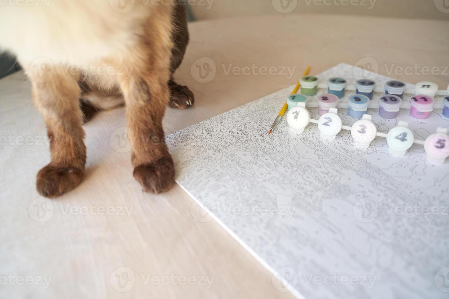 Curious cat near paint by numbers canvas and brushes showcasing creative and relaxing artistic activity. photo
