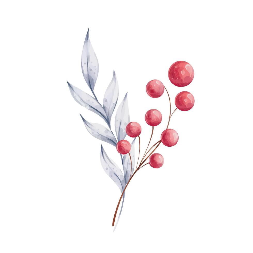 Christmas watercolor bouquet with holly blue leaves and red berries. Winter composition, decor in retro style. Illustration hand drawn for design, printing, greeting cards. clip art vector