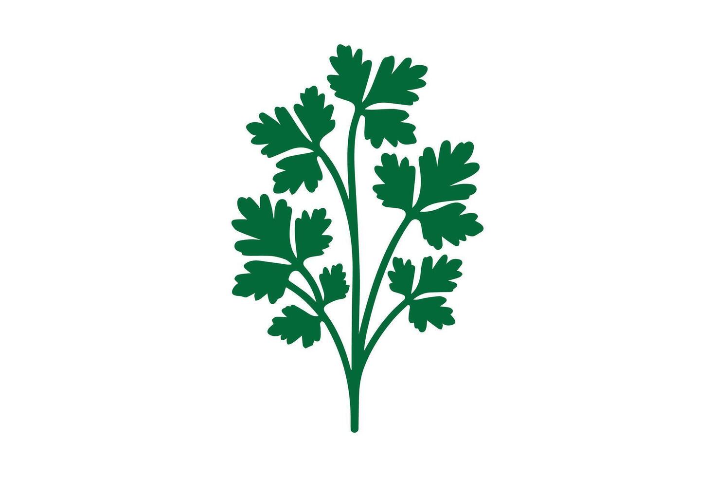 A green plant with leaves on it vector