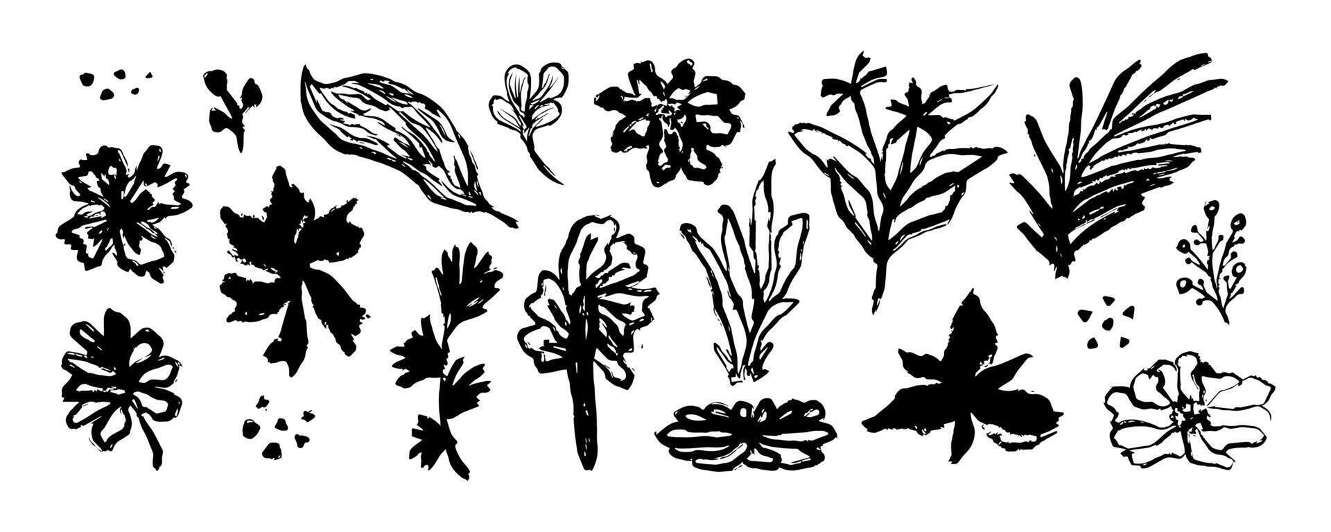 Hand drawn flower and leaf. Doodle Ink floral and plant abstract illustration. Sketch nature simple daisy, flower, leaves, graphic elements vector