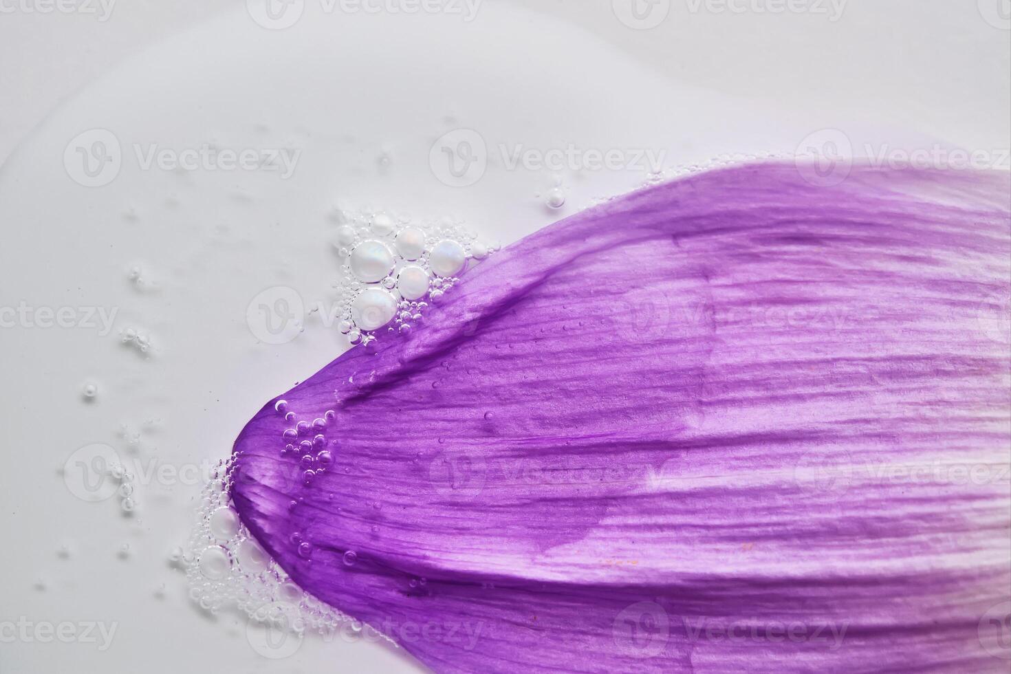 A drop of serum on a purple flower petal. photo
