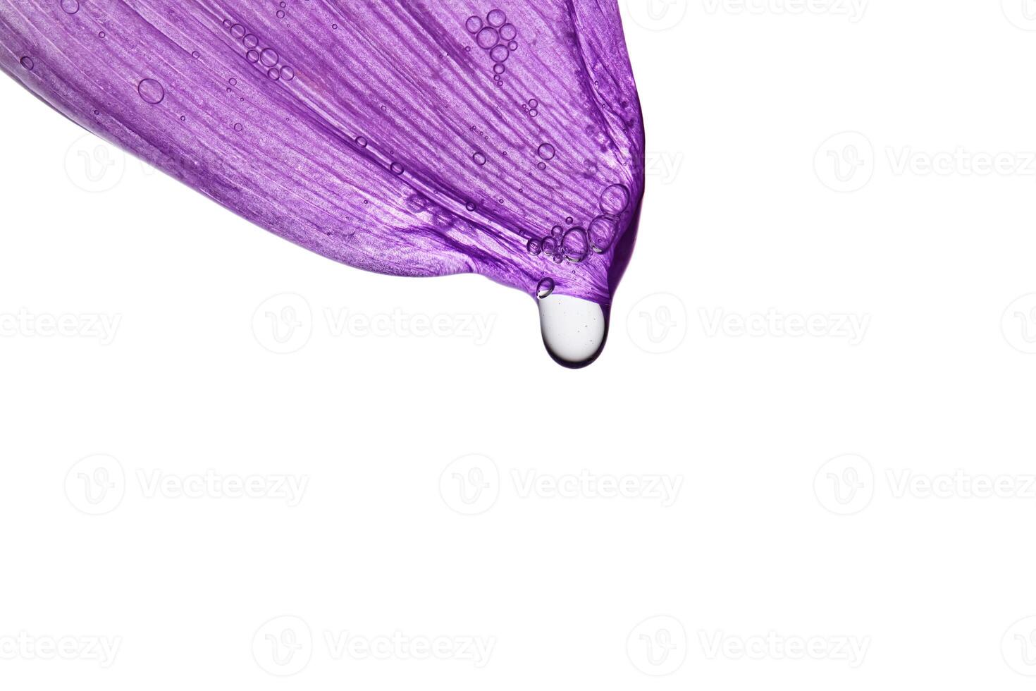 A drop of serum on a purple flower petal. photo