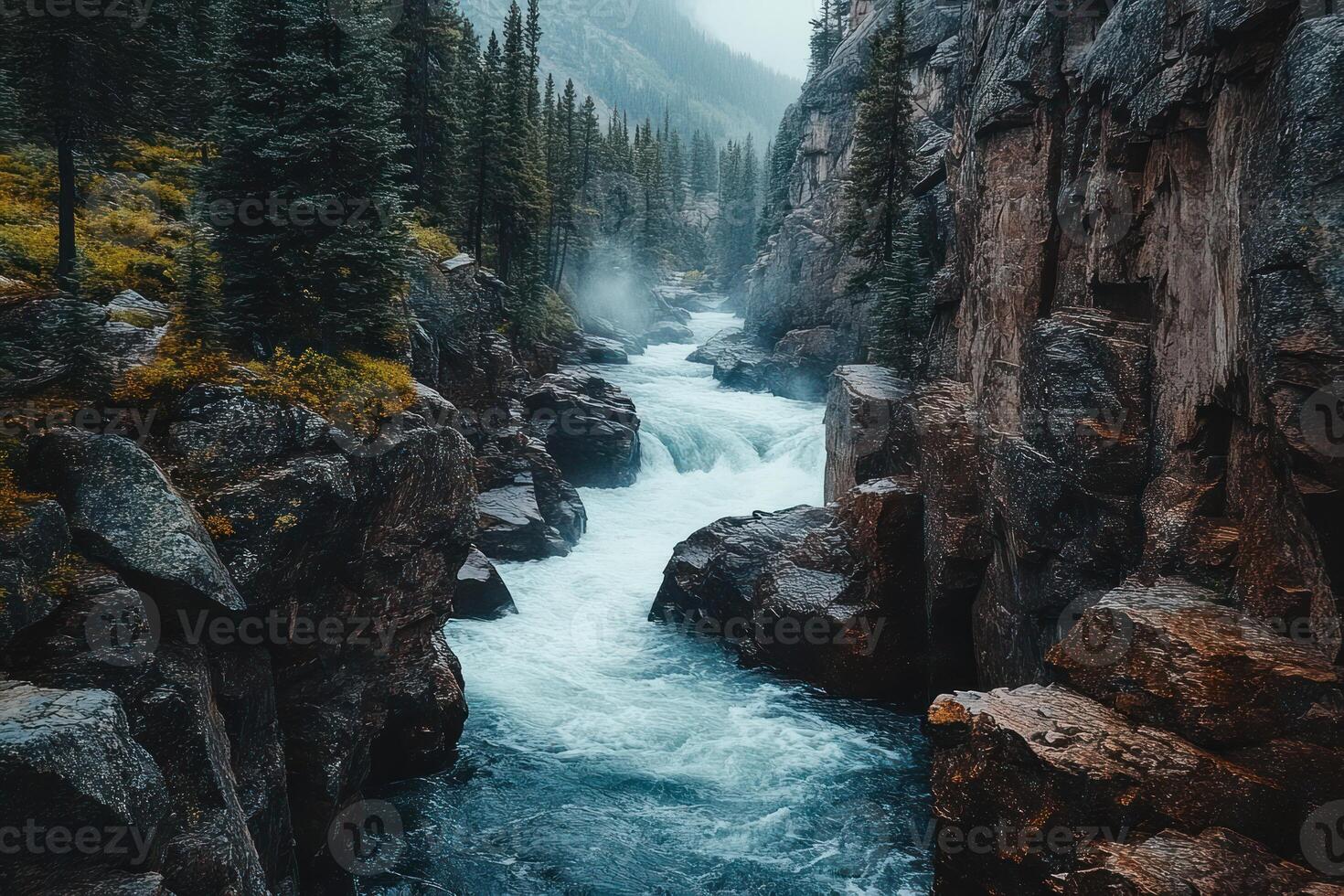 A rushing river flows through a narrow canyon formed by steep rock cliffs and tall evergreen trees. photo