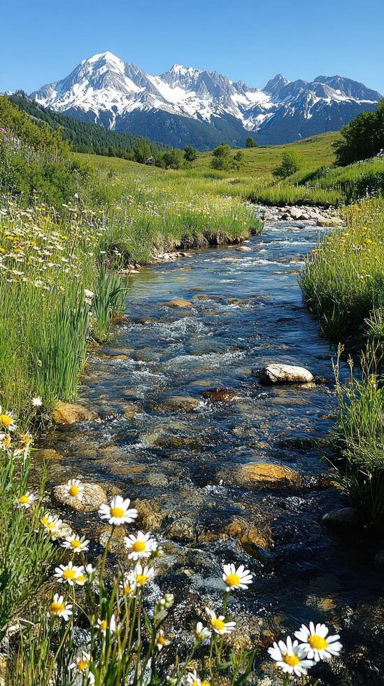 Mountain Stream With Daisies And Snow-capped Peaks photo