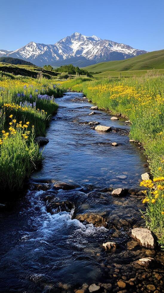 A Stream Winding Through A Meadow With A Snowy Mountain In The Background photo