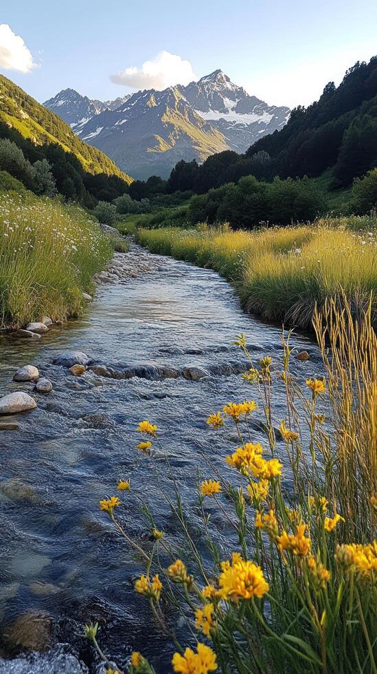 Stream Flowing Through Mountain Valley with Yellow Wildflowers photo
