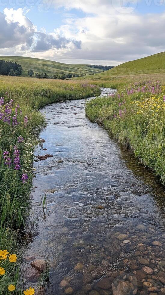 Serpentine Creek Flowing Through Lush Green Meadow photo