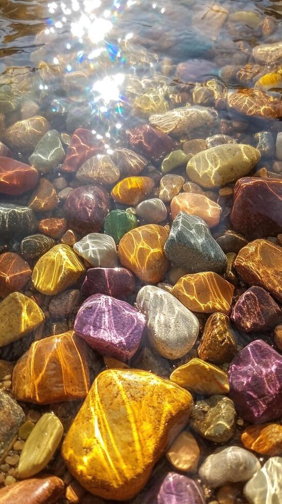 Colorful River Stones Submerged in Clear Water with Sunlight Reflections photo
