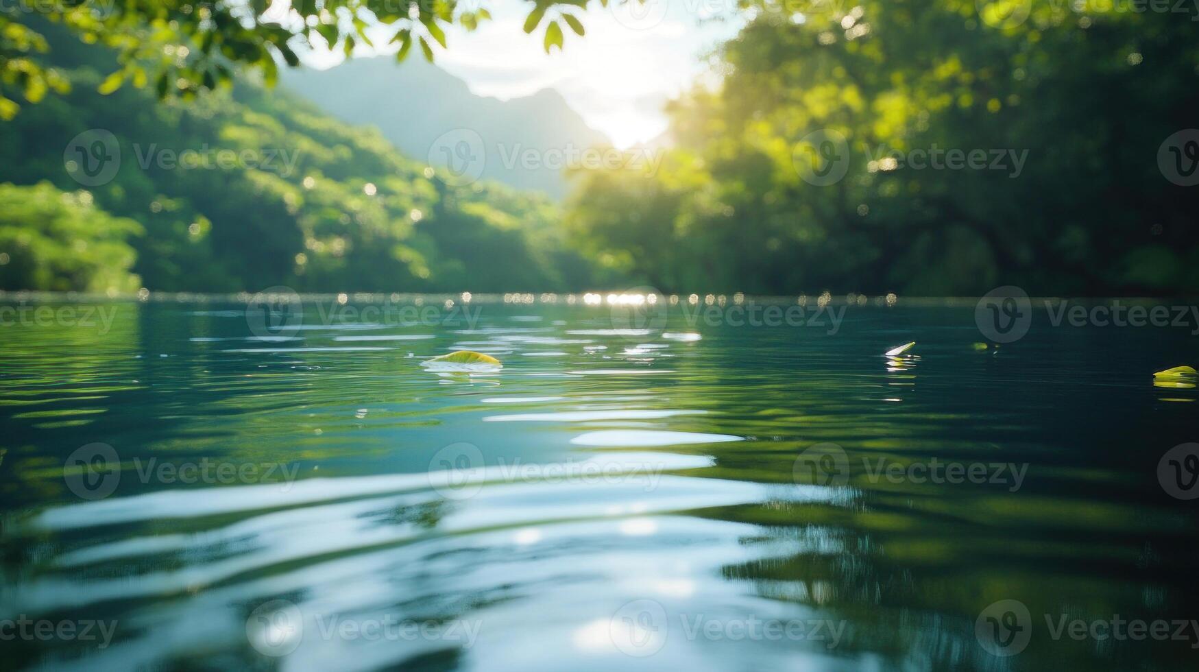 A Single Leaf Floating on a Calm, Green Lake with Sunlight Filtering Through Trees photo