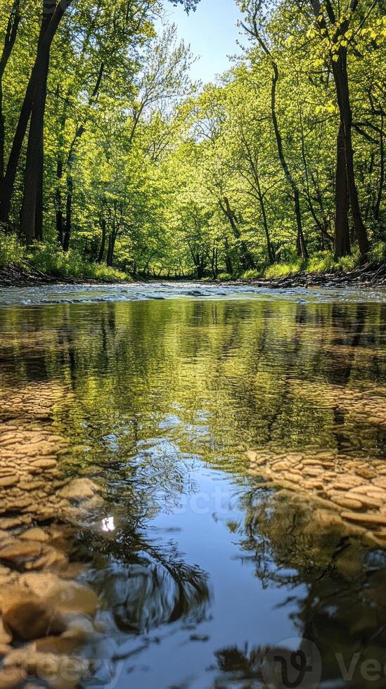 Tranquil Stream Reflecting a Lush Green Forest Canopy photo
