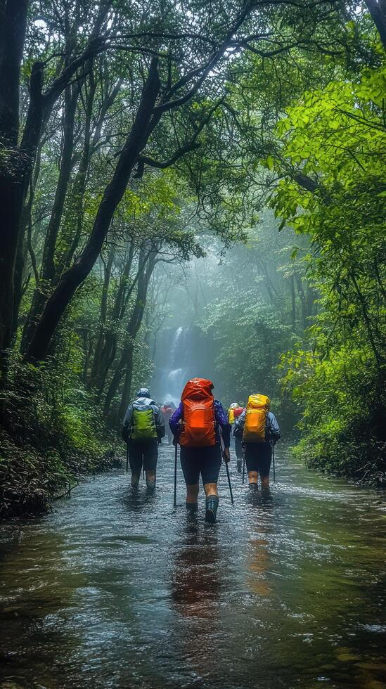 Hikers with Backpacks Traverse a Misty Forest Stream photo