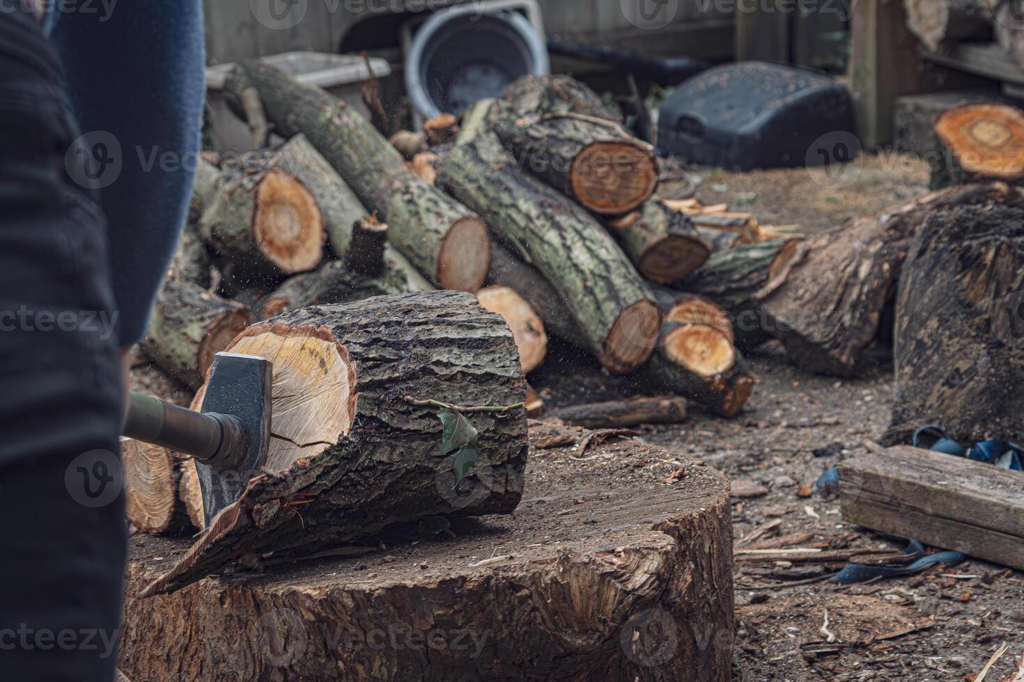 Stacked Firewood Logs with Natural Rustic Texture photo