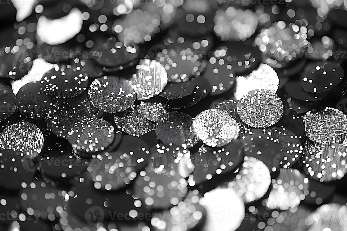 Abstract Black and White Bokeh Light Circles for Creative Background Design photo