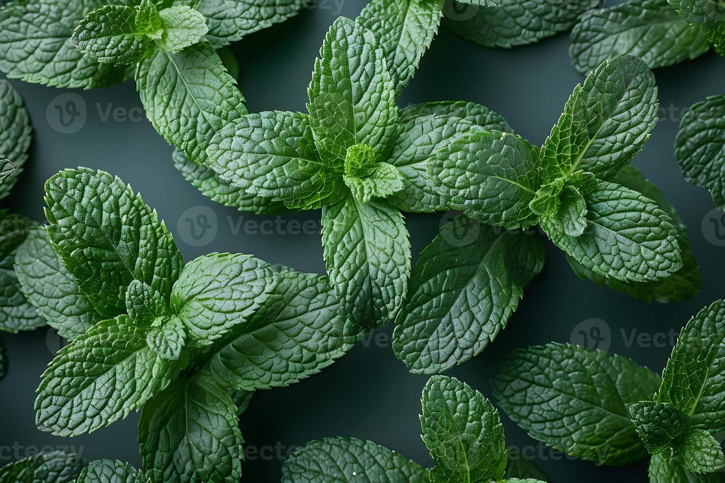Fresh Mint Leaves Pattern for Natural Product Design and Culinary Inspiration photo