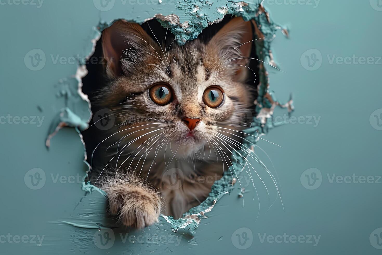 Curious Kitten Peeking Through a Hole in a Green Wall - Ideal for Pet Lovers and Animal-Themed Designs photo