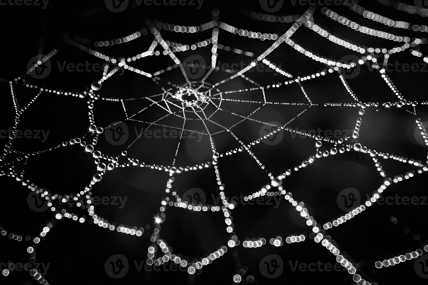 Intricate Spider Web with Dew Drops Nature's Masterpiece in Monochrome photo