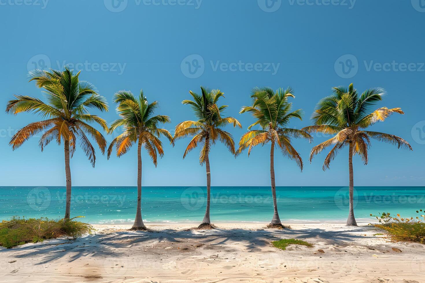 Tropical Paradise with Palm Trees on Pristine Beach Under Clear Blue Sky photo