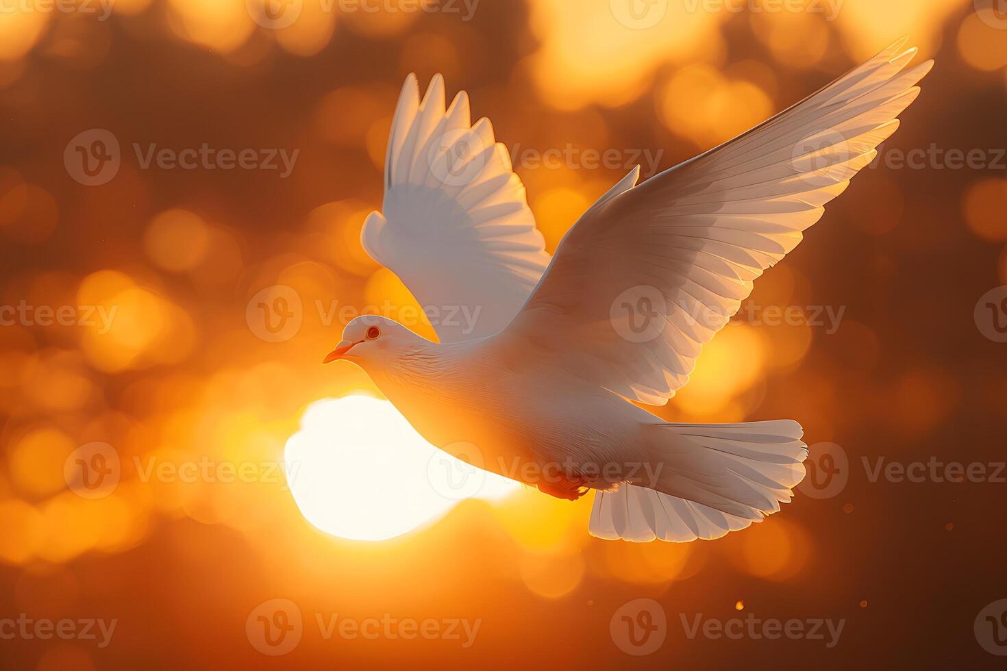 Serene White Dove in Flight Against a Warm Golden Sunset Sky photo