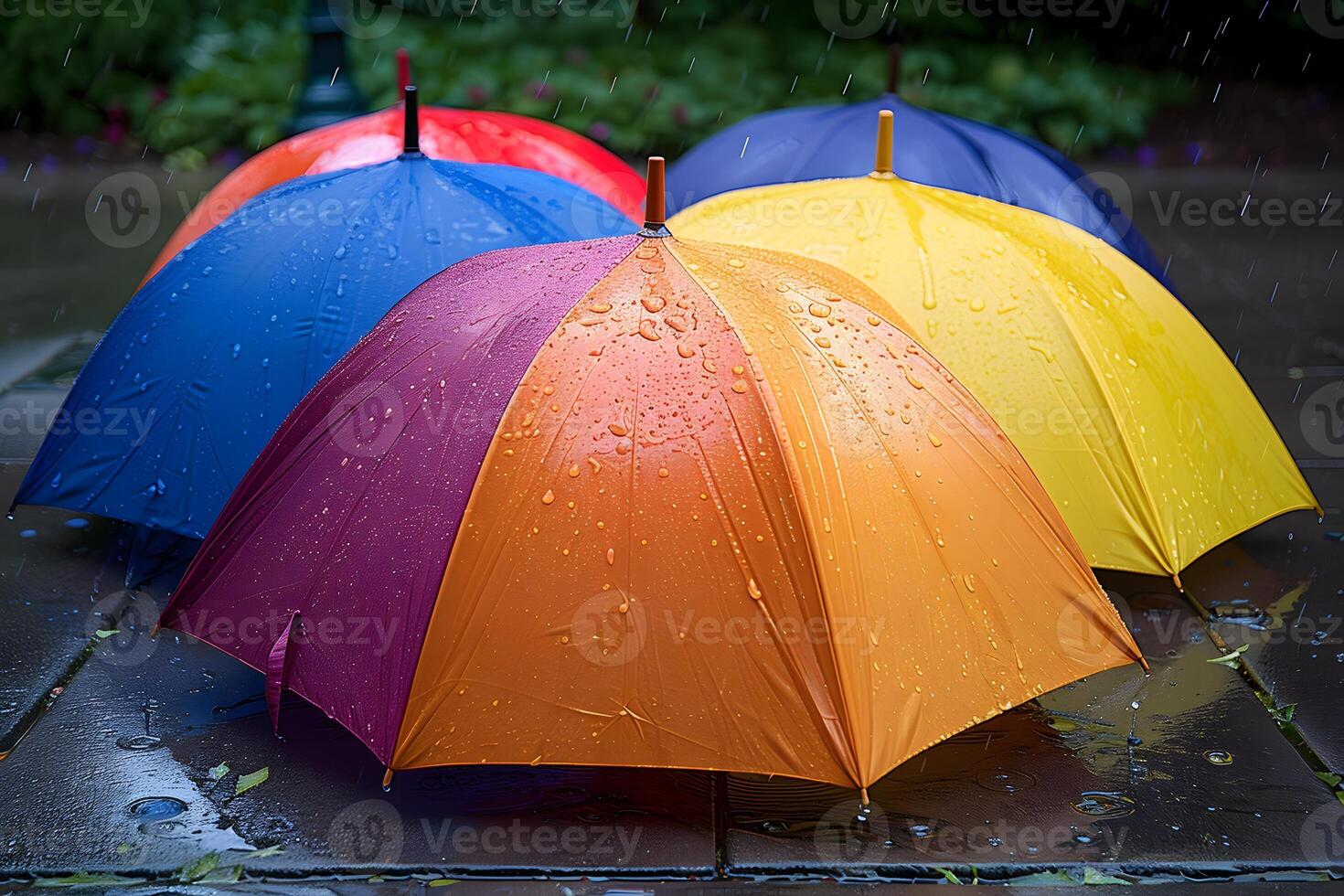Colorful Umbrellas in the Rain on a Wet Pavement photo