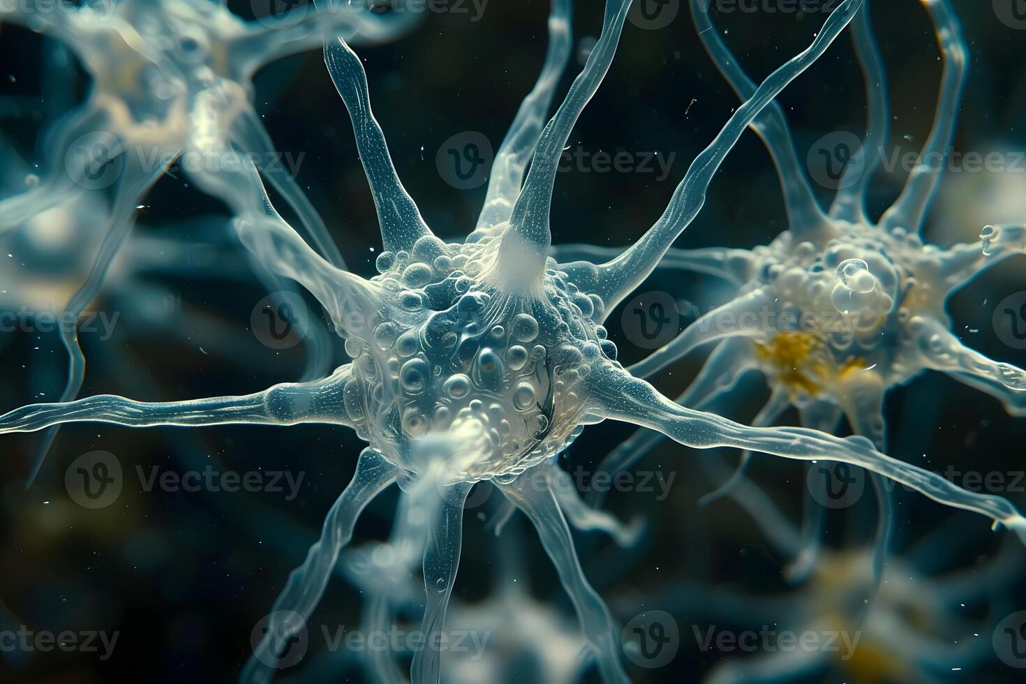 Intricate Neural Network Design for Scientific and Medical Applications photo