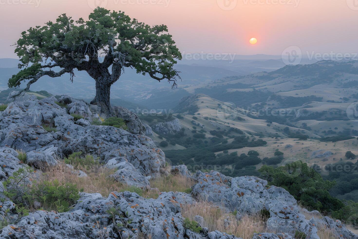 Serene Sunset Over Rolling Hills and Lone Tree in Rocky Landscape photo