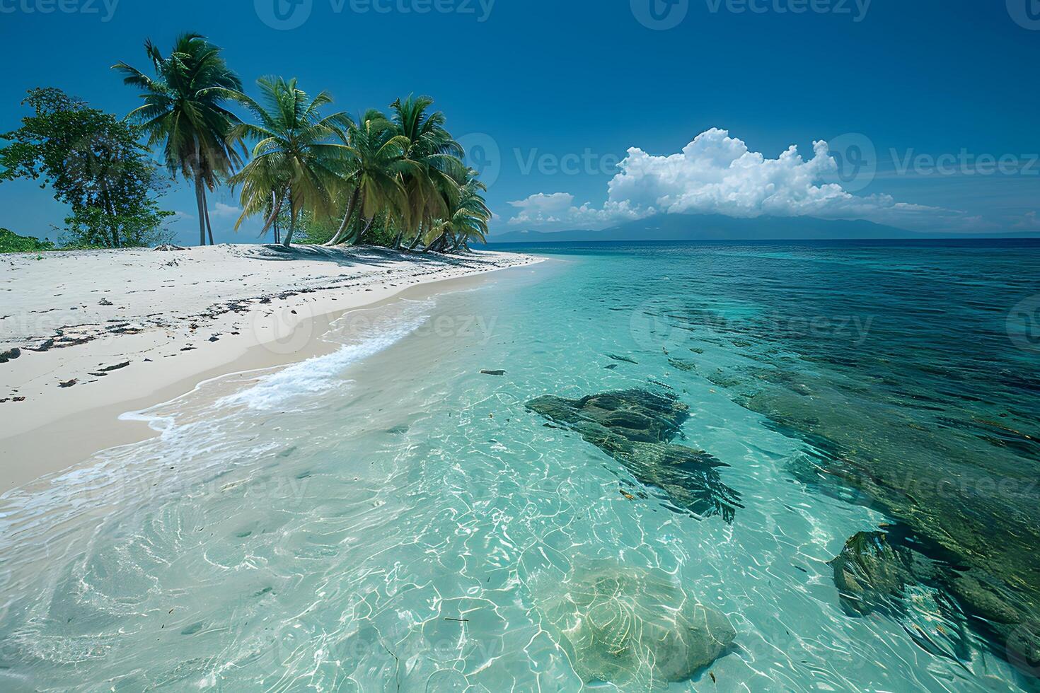 Tropical Beach Paradise with Palm Trees and Azure Waters for Travel and Relaxation photo