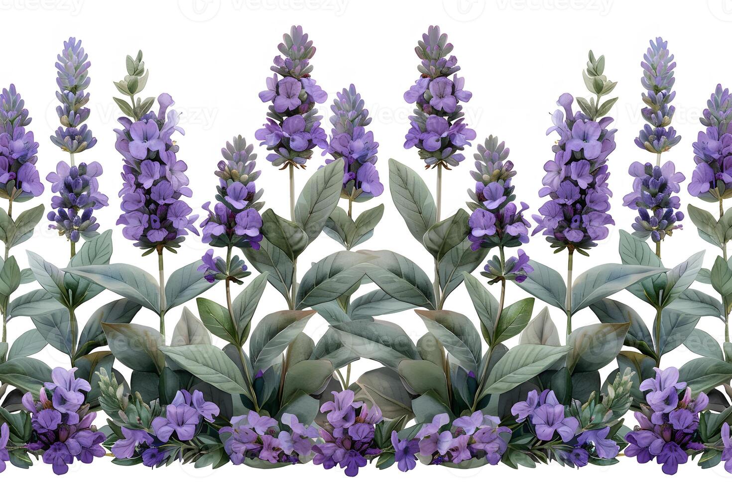 Lavender Floral Pattern for Botanical Design and Decoration Projects photo
