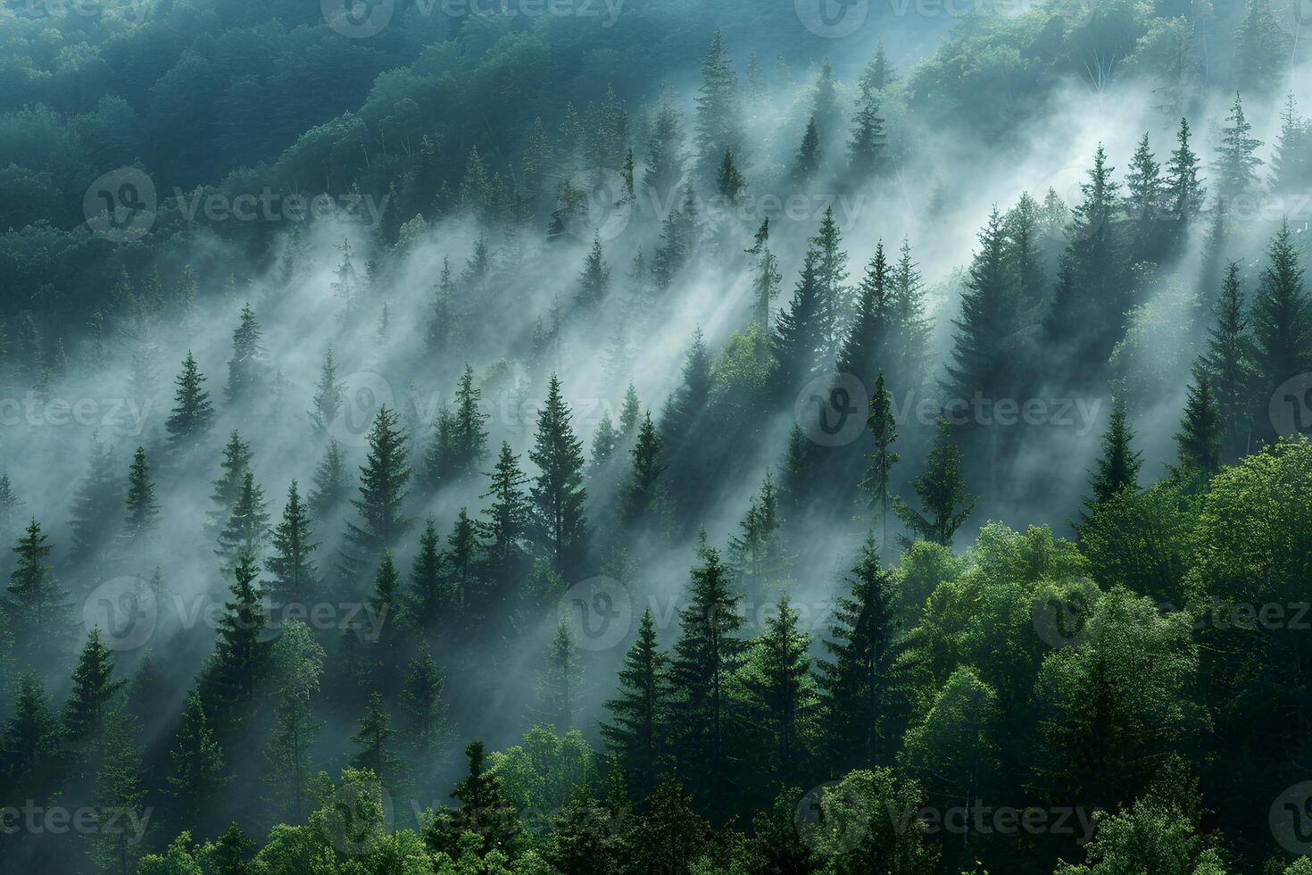 Misty Morning Forest Scene with Sunrays - Nature's Tranquility and Serenity photo