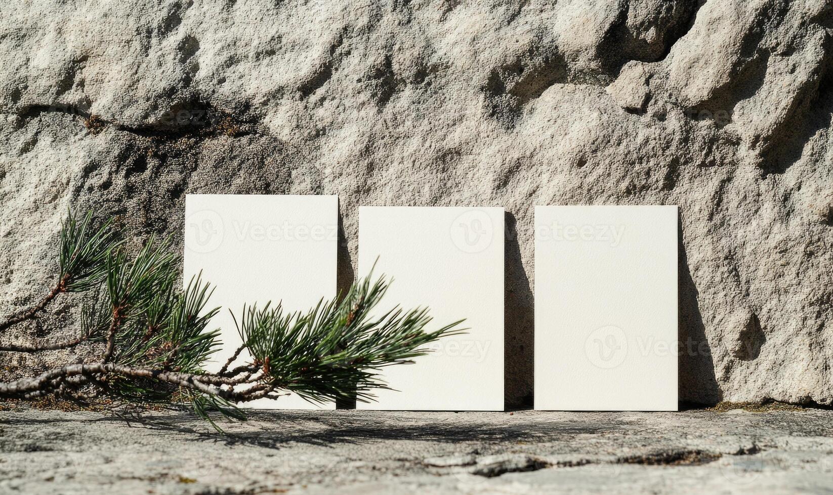 Three white cards are displayed on a rock with a pine branch photo