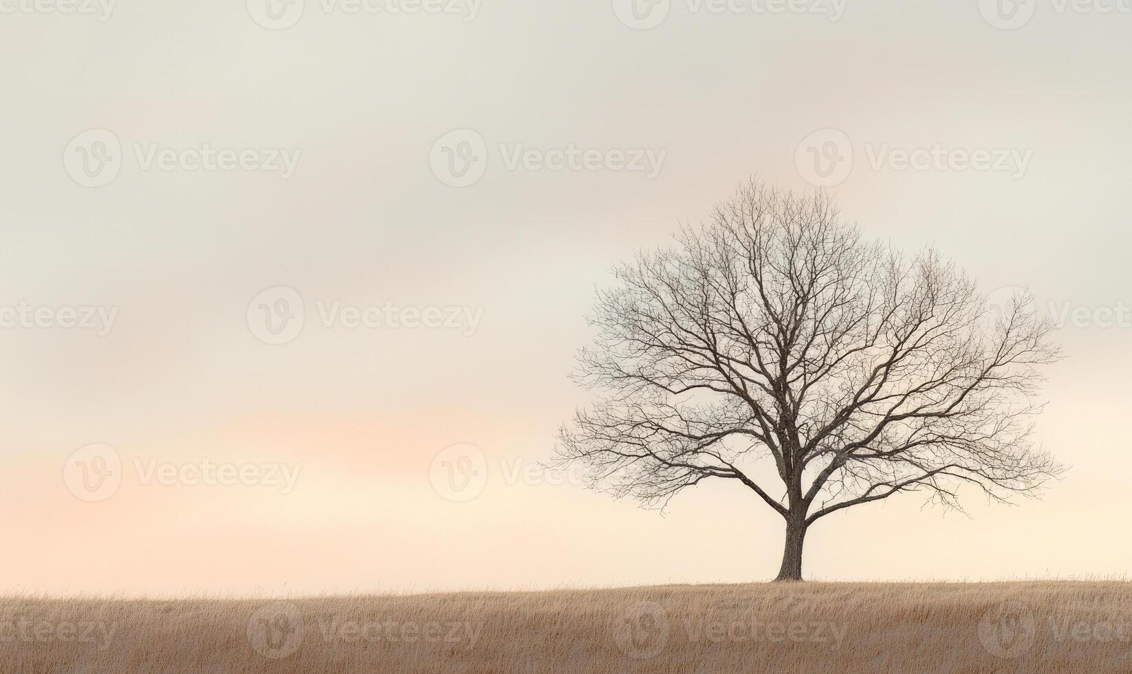 A tree stands alone in a field of tall grass photo