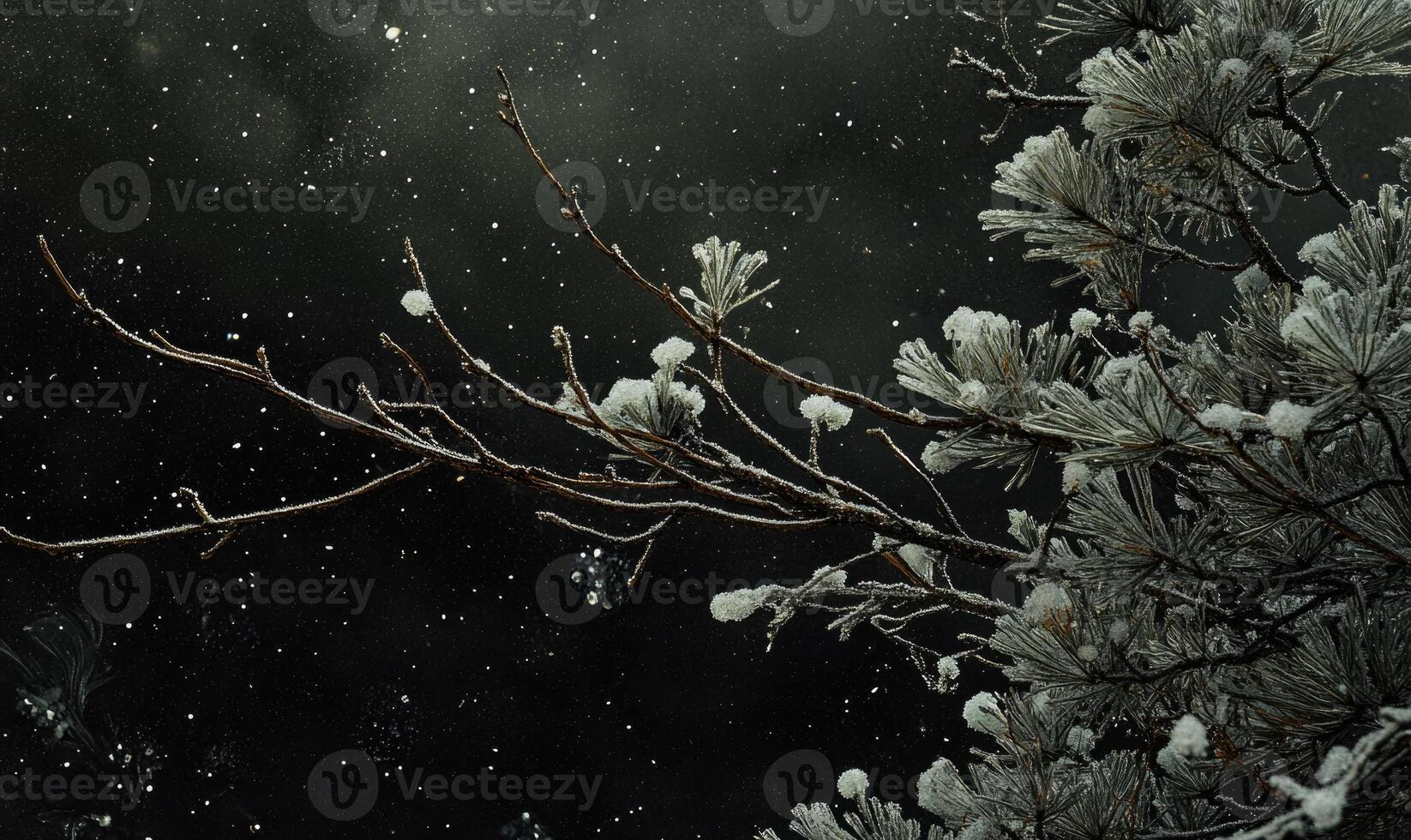 A branch covered in snow and the sky is dark photo