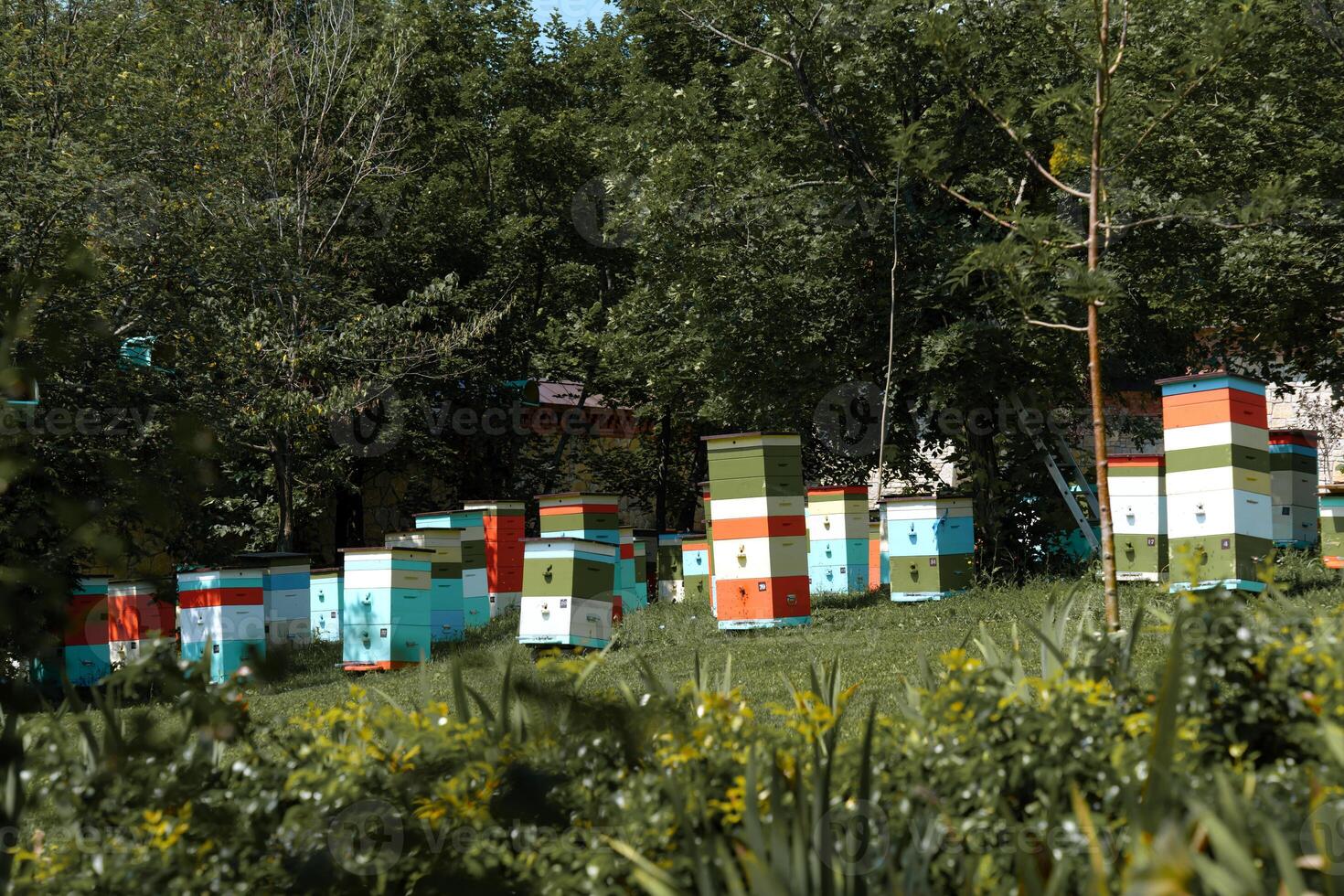 Colorful, artfully-designed beehives in a small, rustic apiary photo