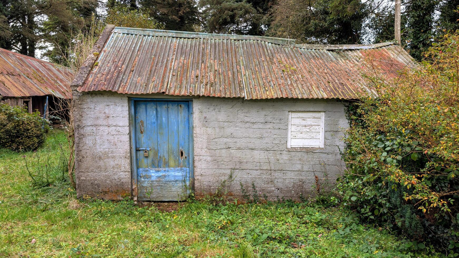 Old aged house in the forest, buildings and architecture at Kinnity, Offaly, Ireland photo