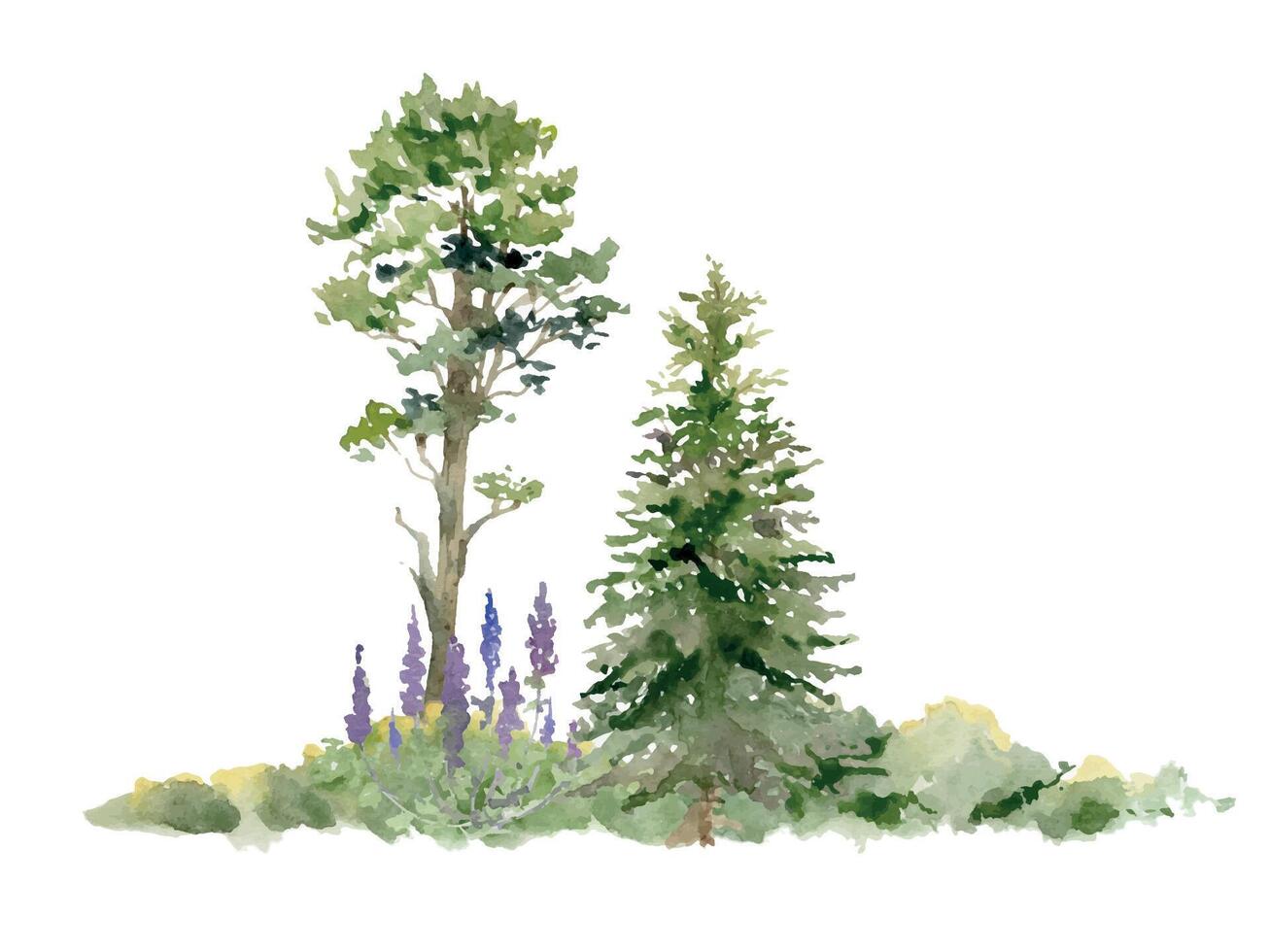 Scenery landscape of forest meadow with bushes, lupin flowers, pine fir spruce tree in lush grass, hand drawn in watercolor. Illustration for tourism maps, resort ads, hiking camping sites vacation. vector