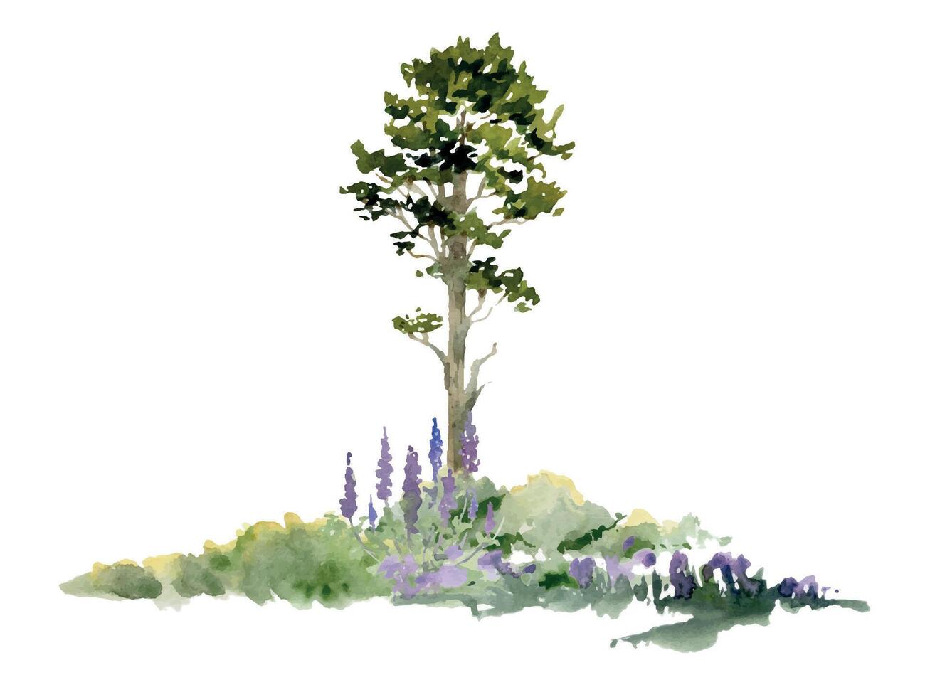 Scenery landscape hand drawn in watercolor, forest meadow with bushes, lupin flowers, pine fir spruce tree in lush grass. Illustration for tourism maps, resort ads, hiking camping sites vacation. vector