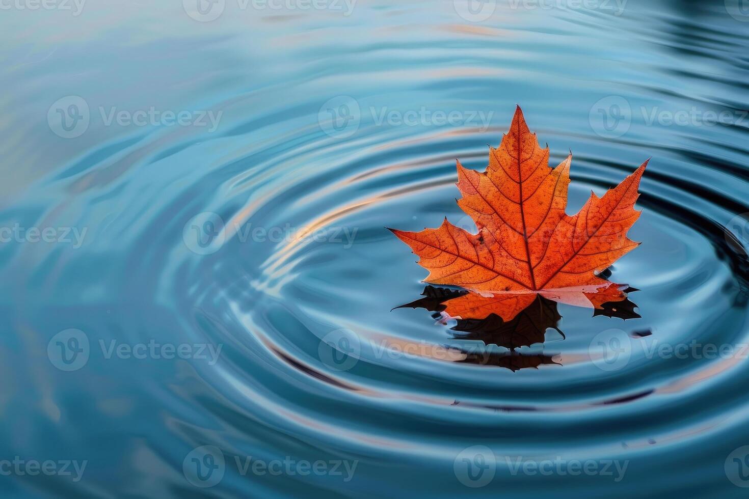 Vibrant orange maple leaf gently resting on a serene blue water surface, creating ripples. photo
