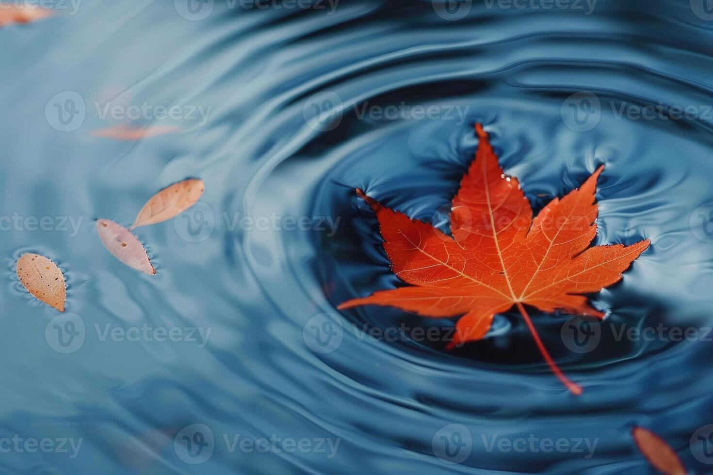 Vibrant orange maple leaf gently resting on a serene blue water surface, creating ripples. photo
