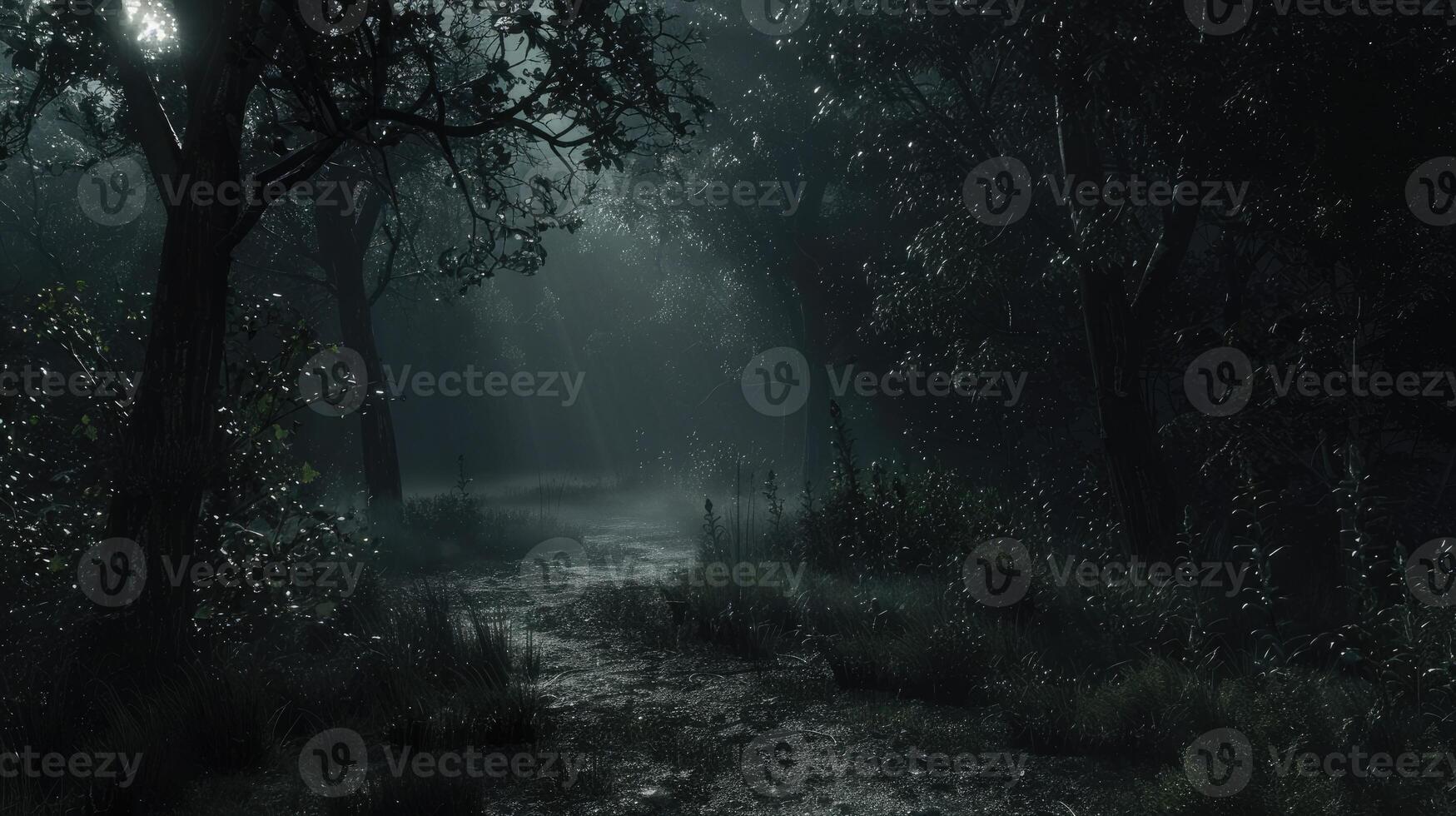 Dark foggy forest with a path through it at night, dramatic dark forest scenery photo