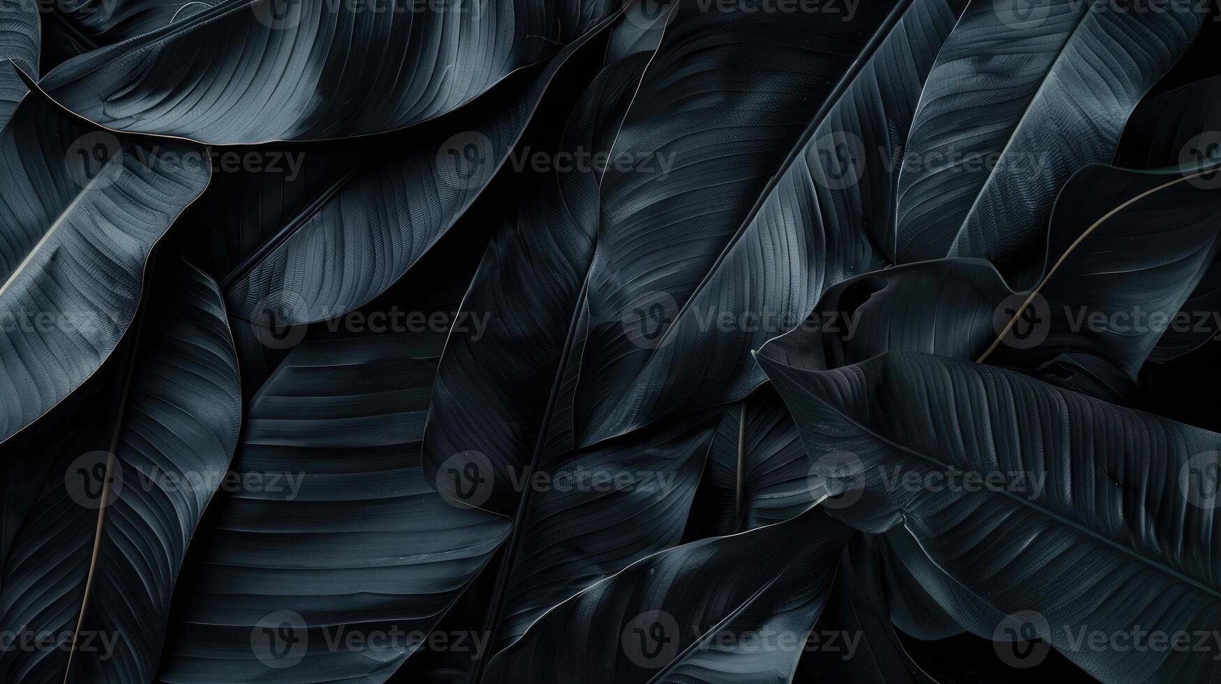 Textures of abstract black leaves for tropical leaf background. Flat lay, dark nature concept, tropical leaf photo