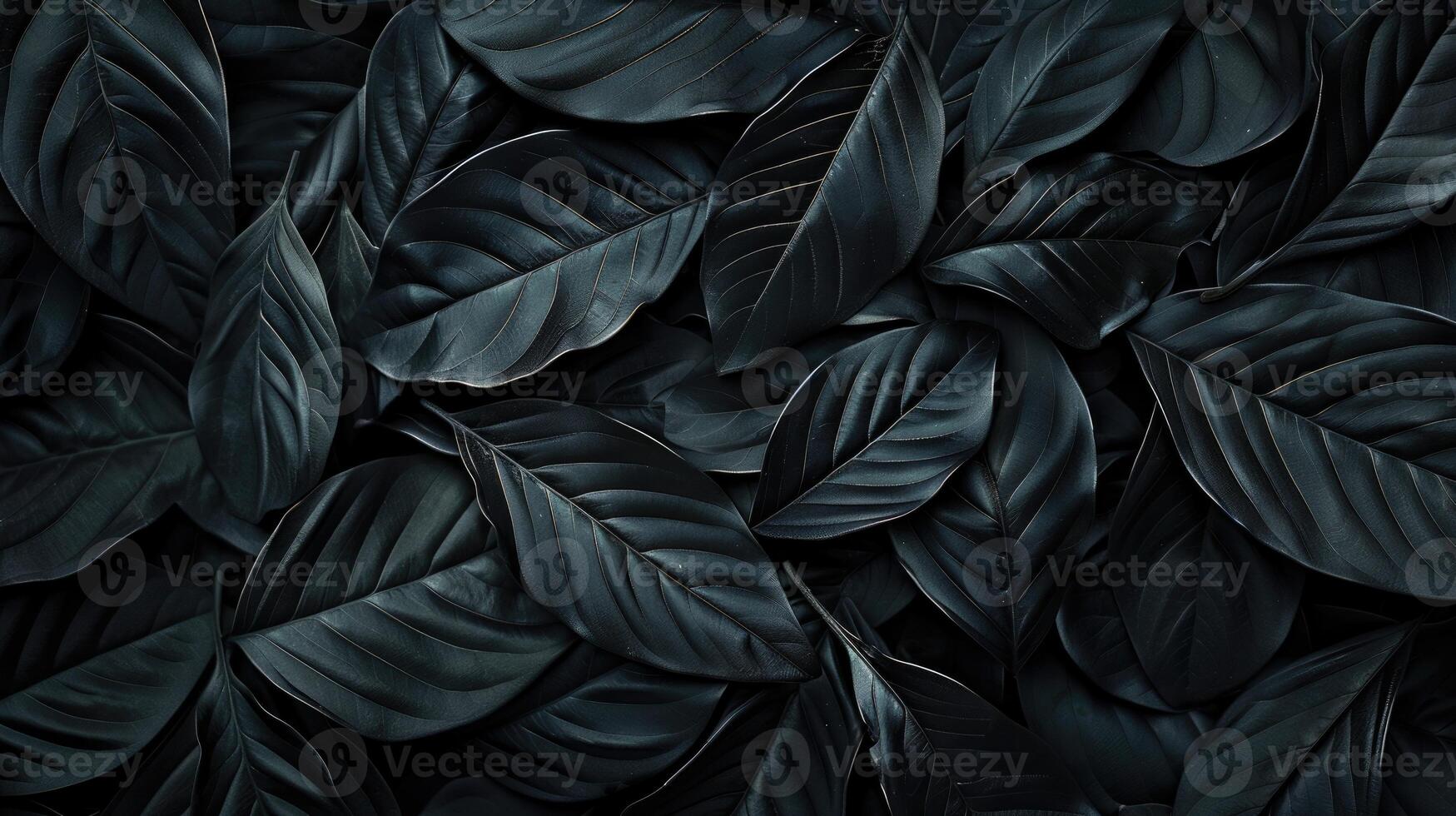 Textures of abstract black leaves for tropical leaf background. Flat lay, dark nature concept, tropical leaf photo
