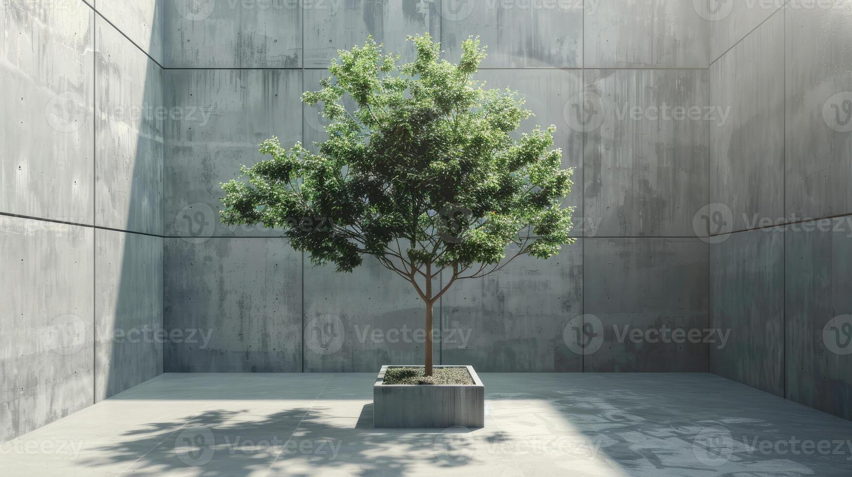 Urban Oasis. Solitary Tree in a Concrete Courtyard. Biophilic Design photo
